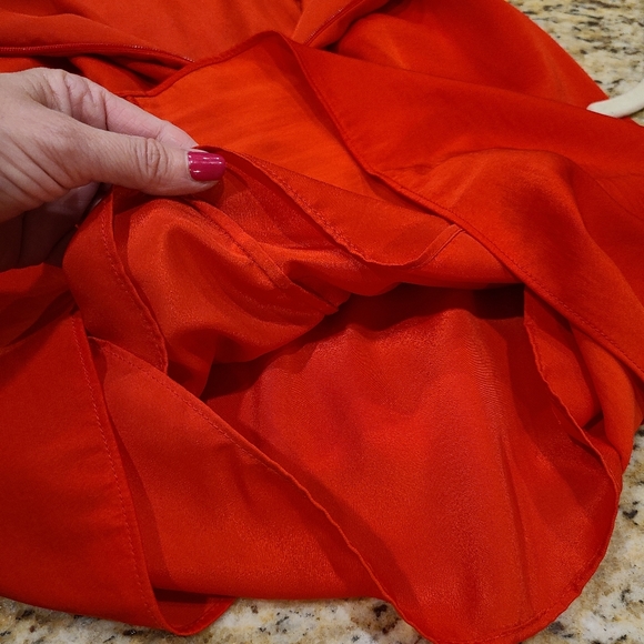 Dress Is A Stunner! - Picture 10 of 13